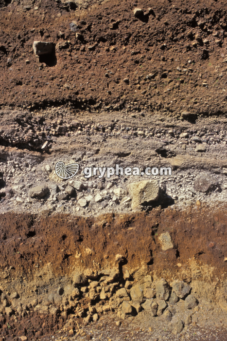 Trace de nuée ardente Lemptégy - gryphea.org